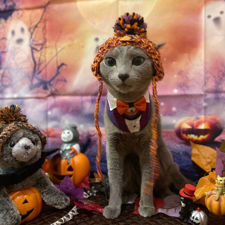 100b4ed9 ea1e 42e2 8e71 eacddfdc79da 1698045574445