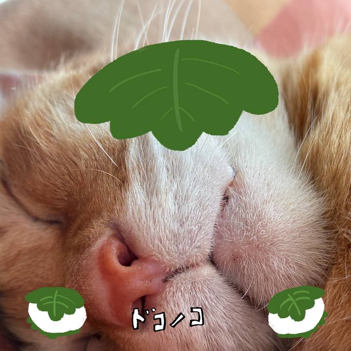 100b7206 6ef2 4a88 a366 9f28ad693376 1749263898497