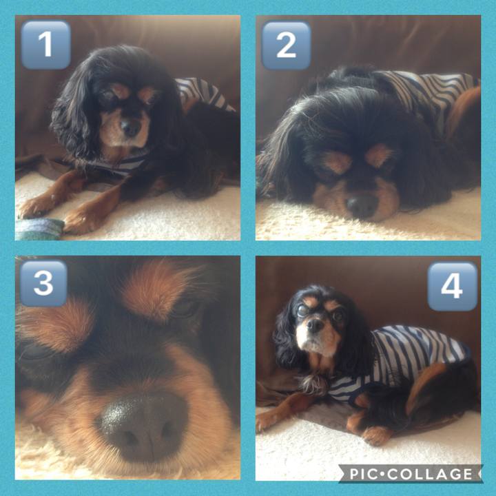 100b84a3 5572 4649 9013 dcdb9684da2d 1604837570692