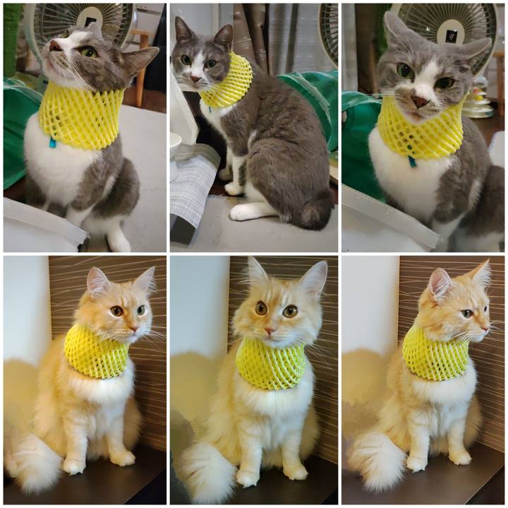 100bb9fb 4ea5 41af afdf 22d4d58782ce 1724497222631