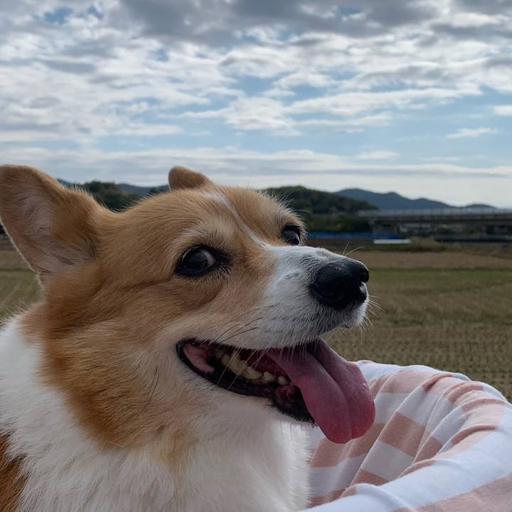 100beebd 5d31 4174 89f7 eb001363428f 1667616415494