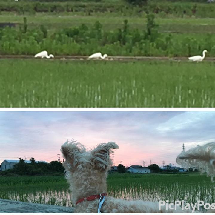 100c1f14 95b3 425b bbb8 4a011b2b0903 1529496020494