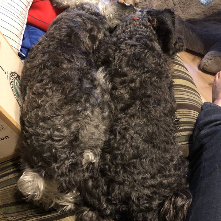 100c6966 ad24 4443 8066 7c6f401de68f 1562942239862