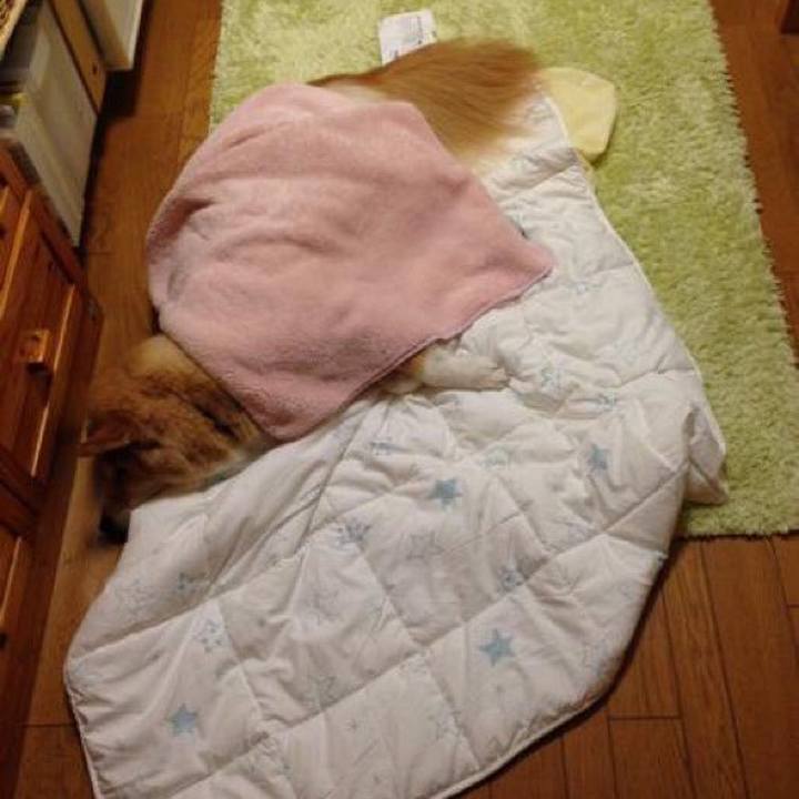 100c7016 ca5d 434f ad9b 85750c0fe972 1510216573355