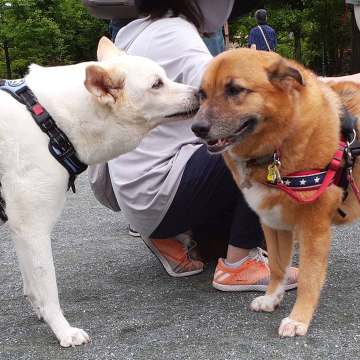 100c8fa9 c550 4917 bfb5 f99e8fec0bf3 1654914818127