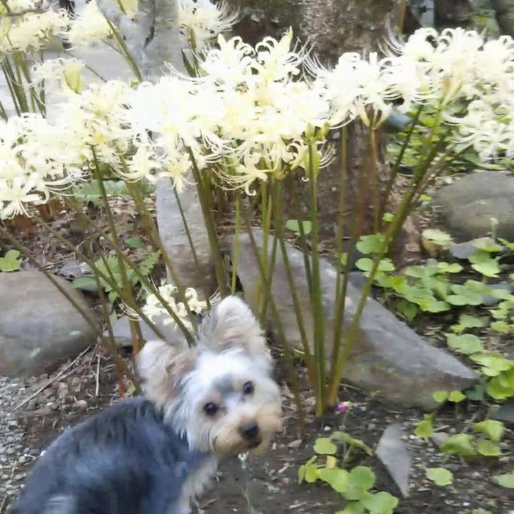 100cc5b8 9815 49a2 be69 07e2ccab66a3 1537785525002