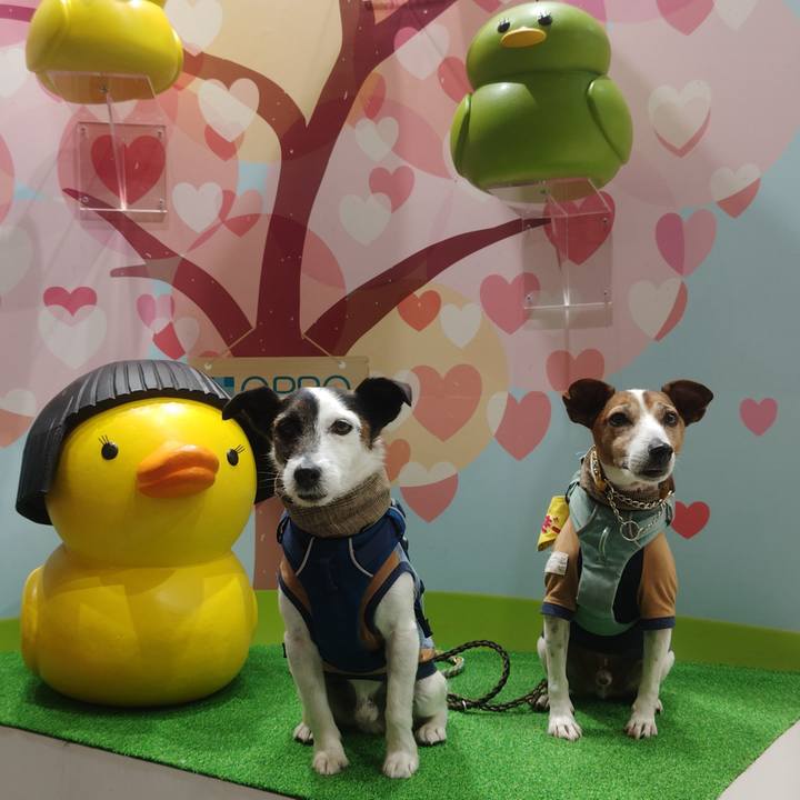 100cd301 5c3e 49a3 a363 7f08e706d664 1775216425202