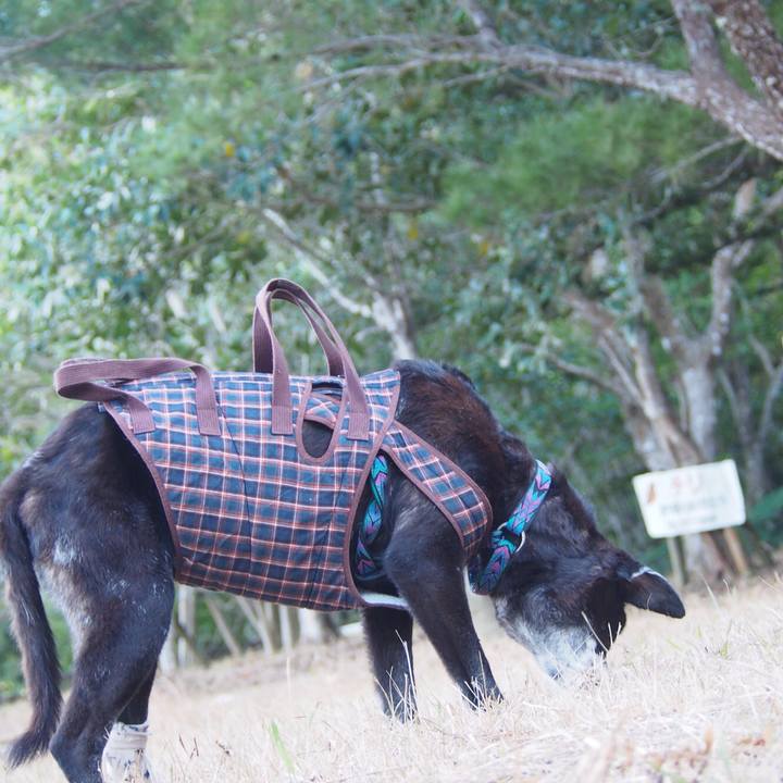 100cee40 aefb 4748 9a7c 56f366731990 1514895591742