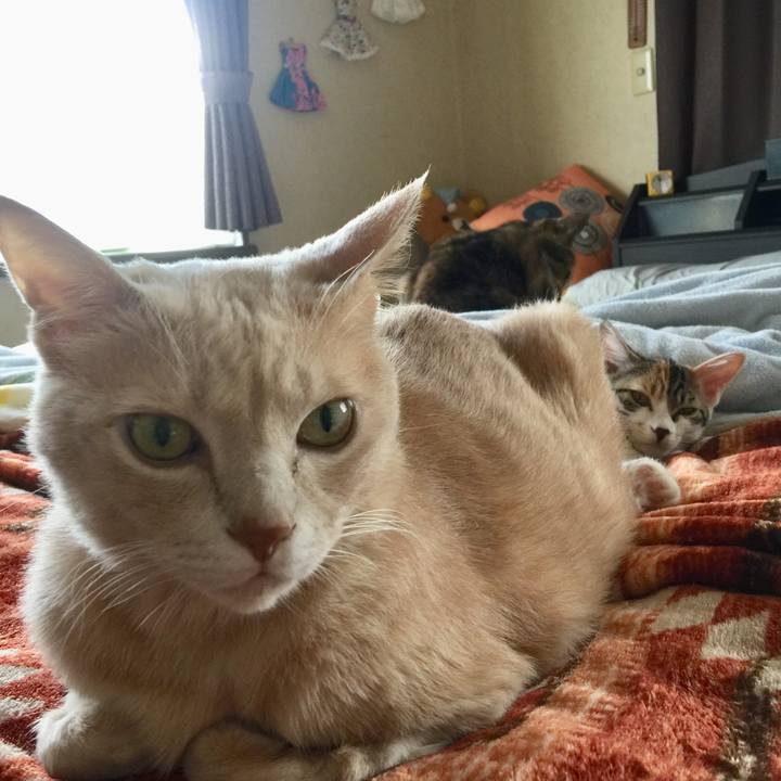 100d089b 9b38 4aea bacc 272db11337e7 1635044596013