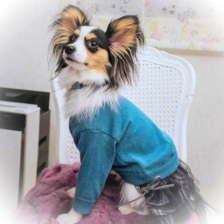 100d11b4 8442 4250 be16 d57678975b0f 1620056582760