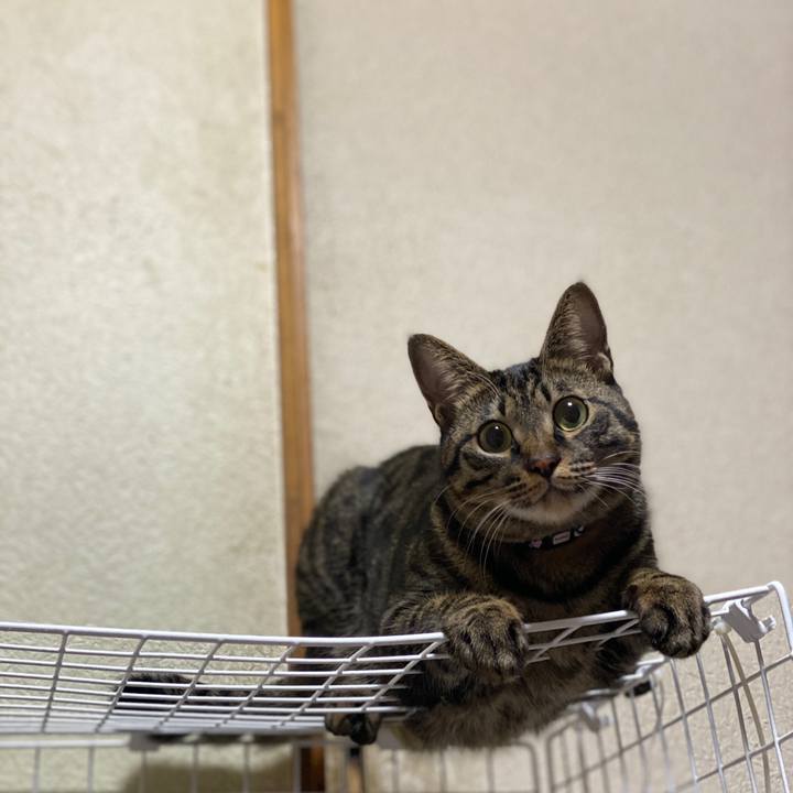 100d3ecb 36d4 4ea0 ae98 4eebb9a50e16 1575846945996