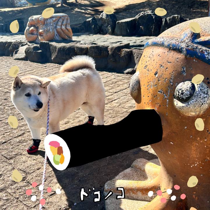 100d4438 2ae7 40a5 a512 ab4c476b0fb3 1741056940447