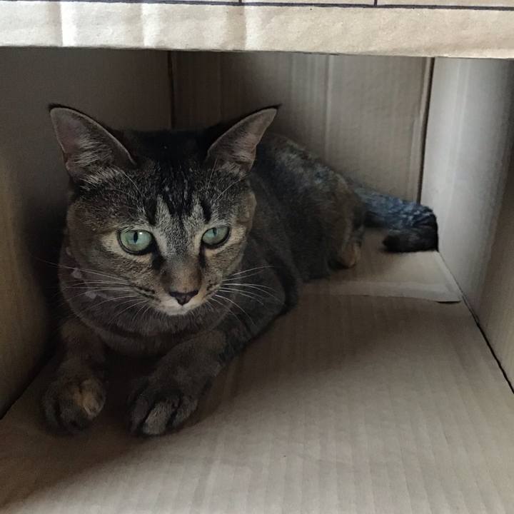 100d5c14 adc7 4131 b2ef afcb13f214a9 1597809623363