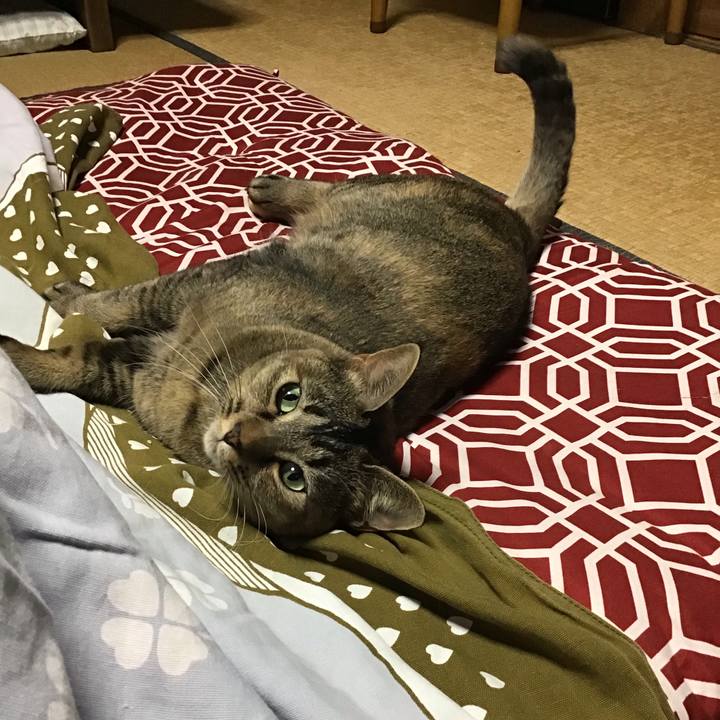 100d67da 73aa 49a8 810e 62507a8f148f 1634631868797