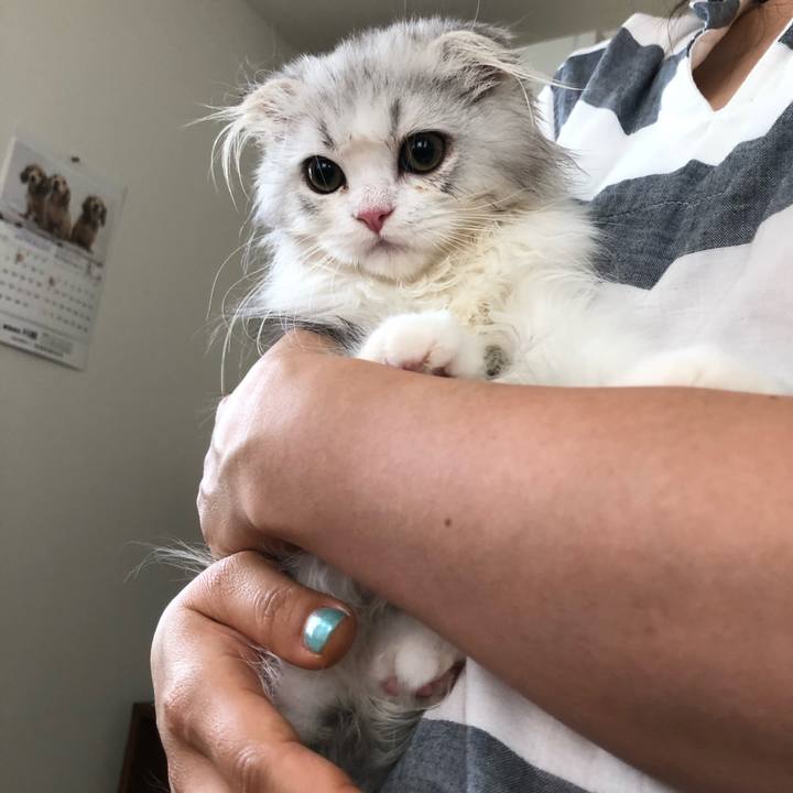 100d7877 f563 47a2 abf9 0f2cb4bd6464 1596494127684