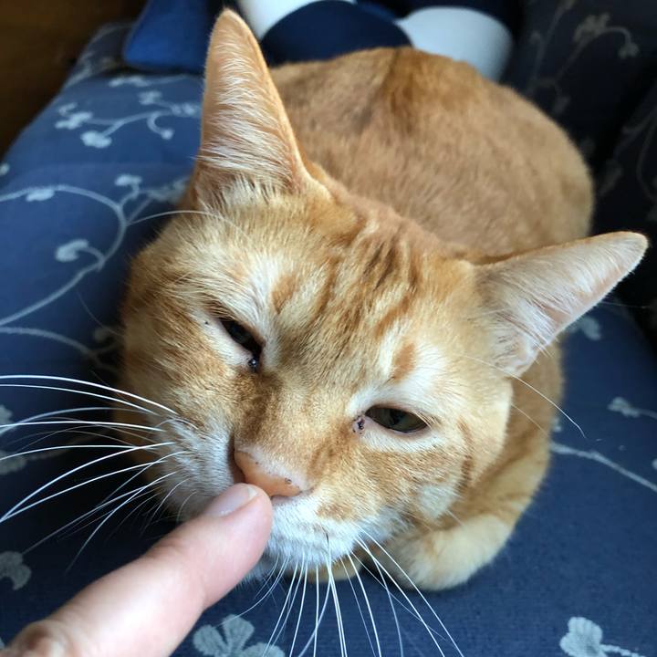 100d998f 3ac8 4385 a45b 2ad5bce98648 1570091791299