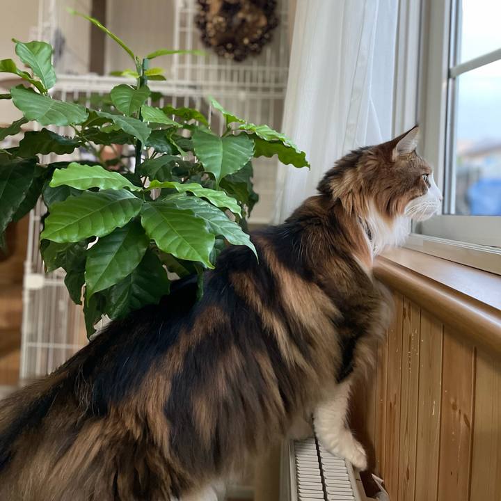 100dfd77 1a54 46fe bd0e e23f37faf315 1737791378122