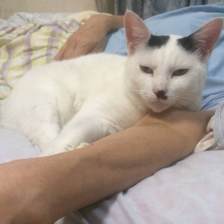 100e6ea7 9e41 457f 9860 6e3ef3dd7368 1569512799166