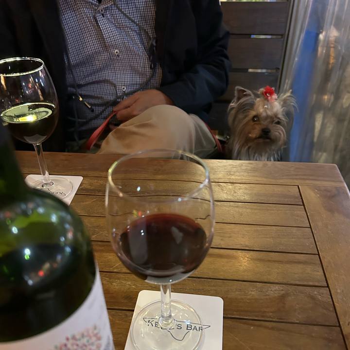 100ea6d2 6920 48c8 8897 34aa13376fed 1711707289774