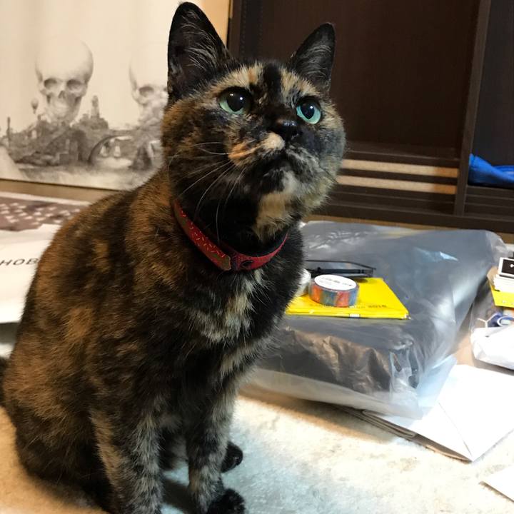 100ed46a 67f2 4ad4 9633 ef9ef516d9e5 1564214147443