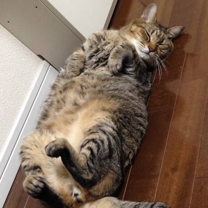 100f01e7 c041 4fad 9c2b 50edee46ce98 1686407649612