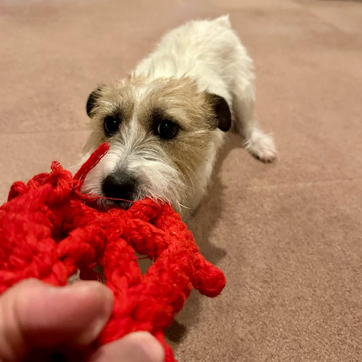 100f4247 c846 4acb 89f8 87a33ce62c98 1747902745461