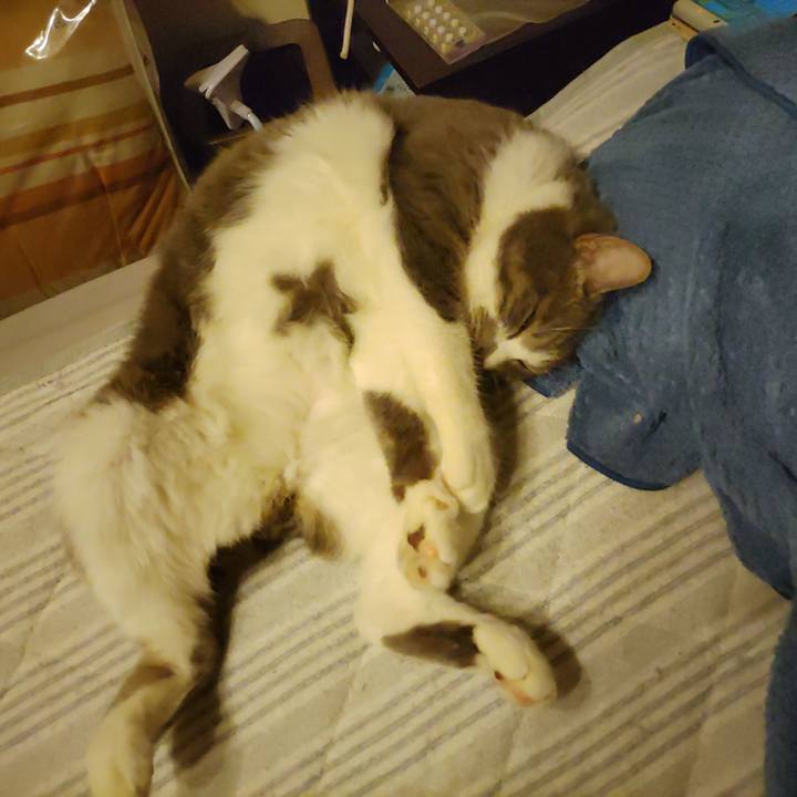 100f8087 953e 4a93 be33 5fe74821f9a9 1715522919106