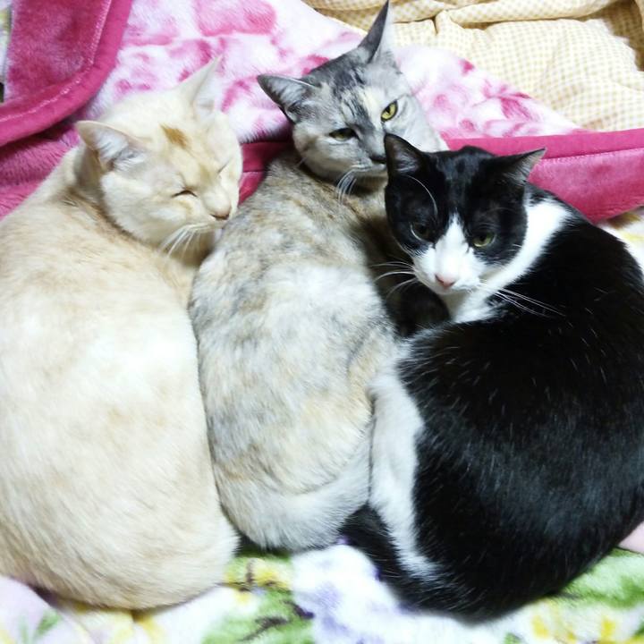 100f9aed a95f 4011 a43c 5f75902ef1be 1513072785099