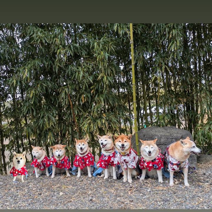 100fb982 5f75 4677 bc2f ed01dbf42548 1744630237058