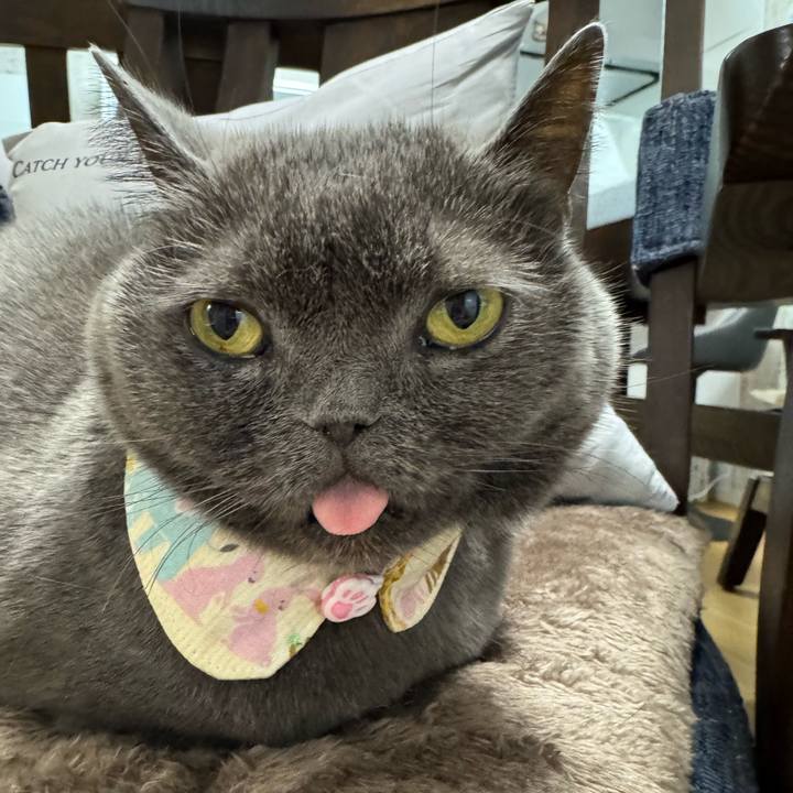 100fbcff 1db8 42d9 9836 2e6a061cdf1f 1762337548365