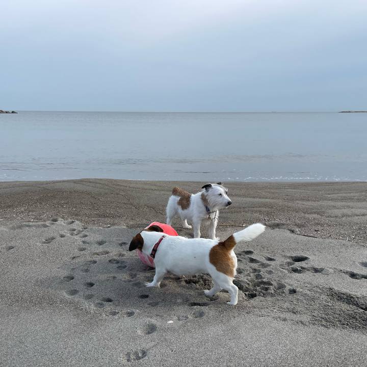 100fd1c2 4113 42f8 93f4 c1563f1991d3 1680654954114