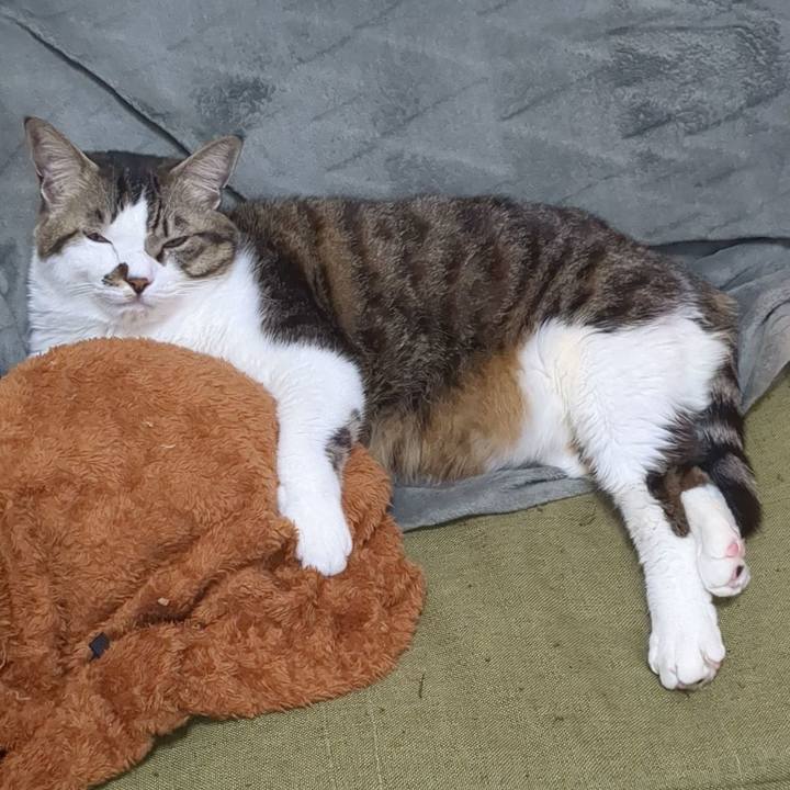 100fe70c 8faa 4bea b345 a76c3d8318ba 1737289057372