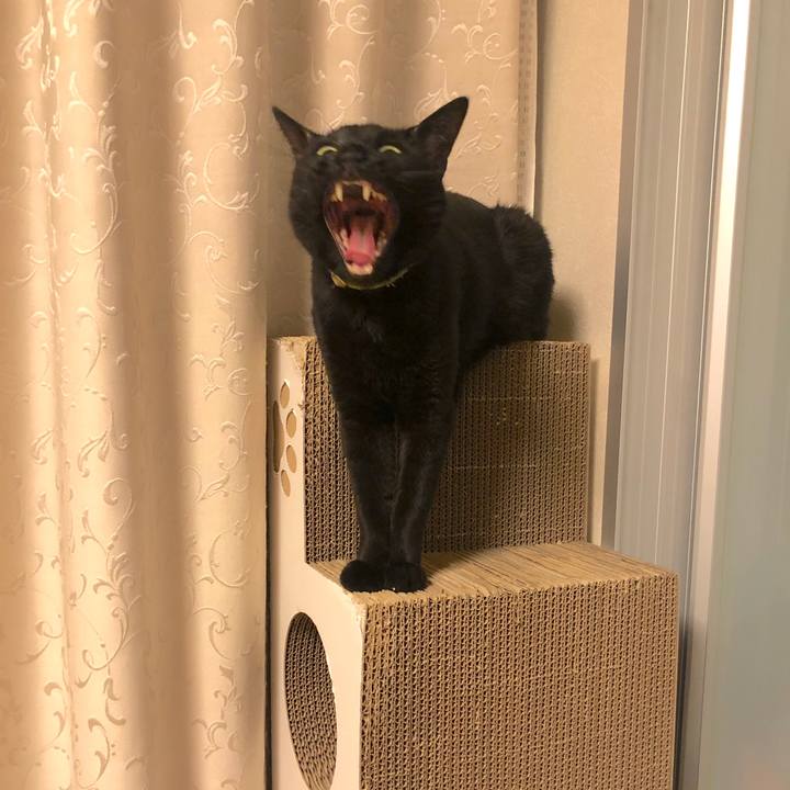 100fef22 4ebe 429f 8957 325a61c5b862 1557746855180