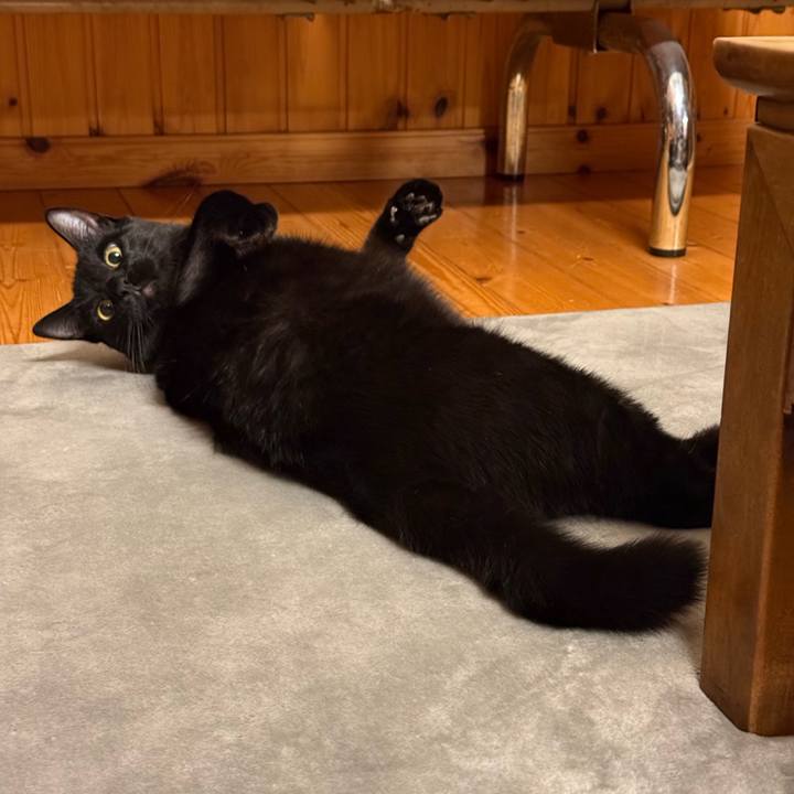 10100363 dc9c 445e b79a 2a6537301827 1772360741220