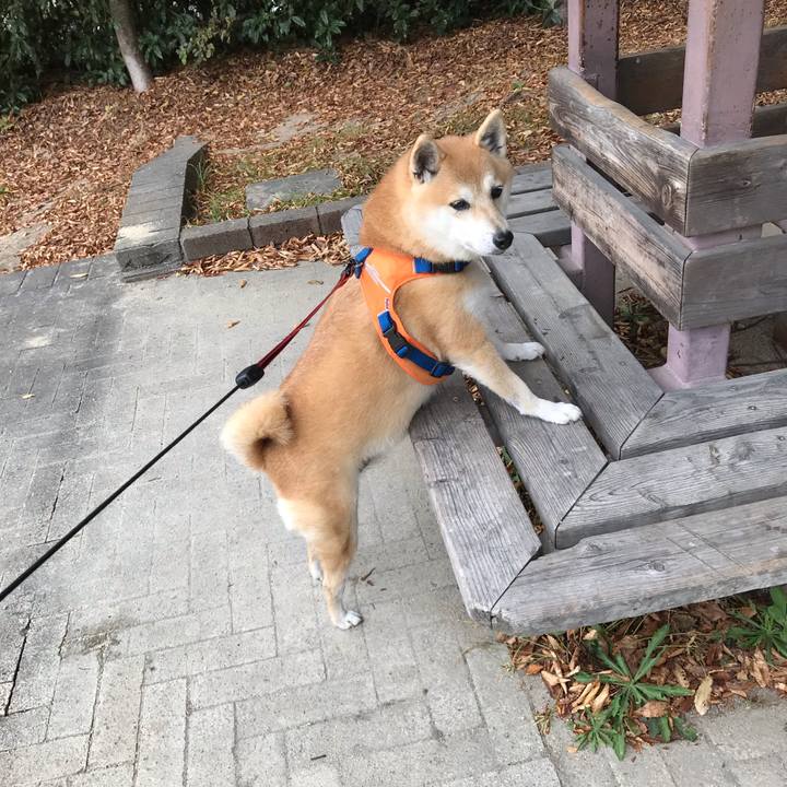 1010059a 2523 4073 8a9e 42022e2cba90 1542197918848