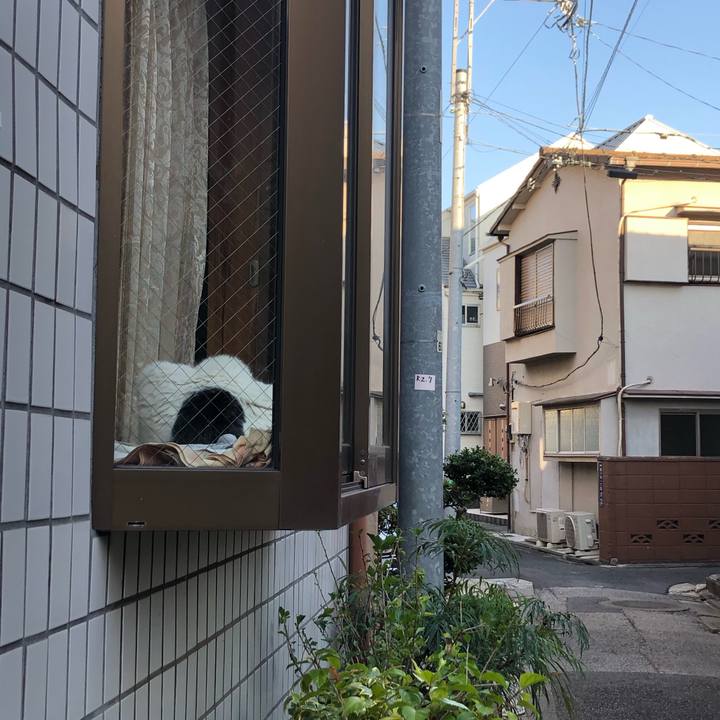 10102acc f7ac 43e1 89e6 4dd961f43a43 1606145657142