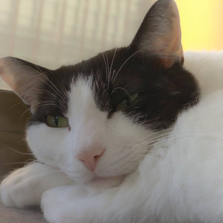 1010a888 2c11 4f25 82f1 3b63926cfaa8 1557797058584