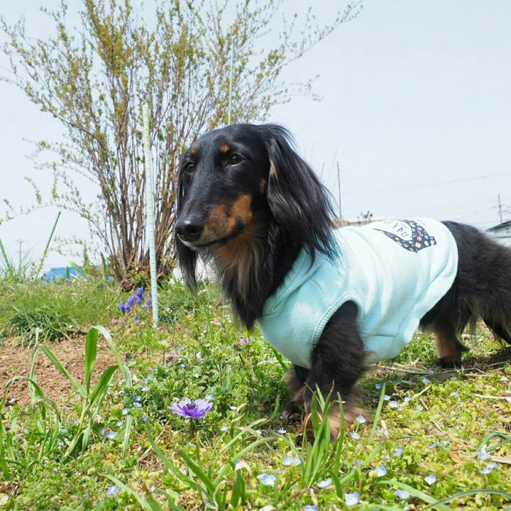 10110294 8ecb 4eee 8c27 3be2e9dc235f 1553835144292