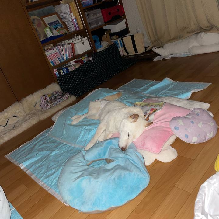 10111fe0 7a0c 432b 8500 b8acc8d9a7ff 1665593246128