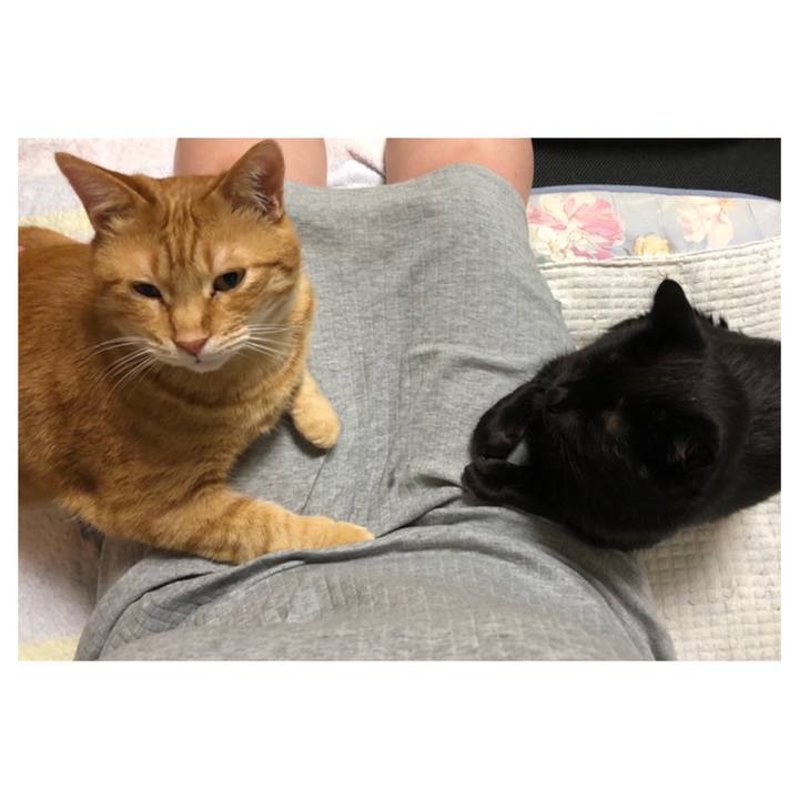 10112494 fffb 47c2 97a8 b12ead2427b2 1586609889063