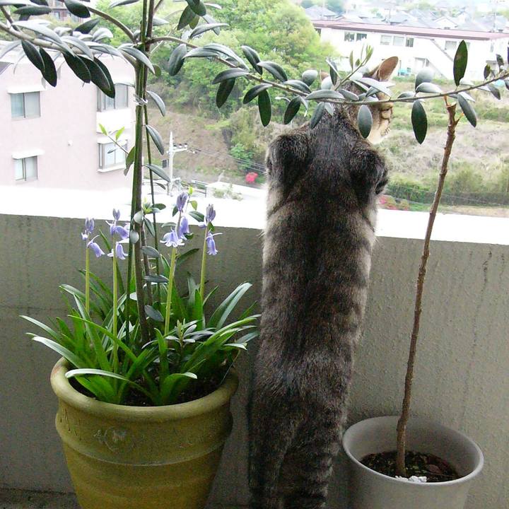 101161ec 417a 4918 94b1 a1c07a342324 1624503842030