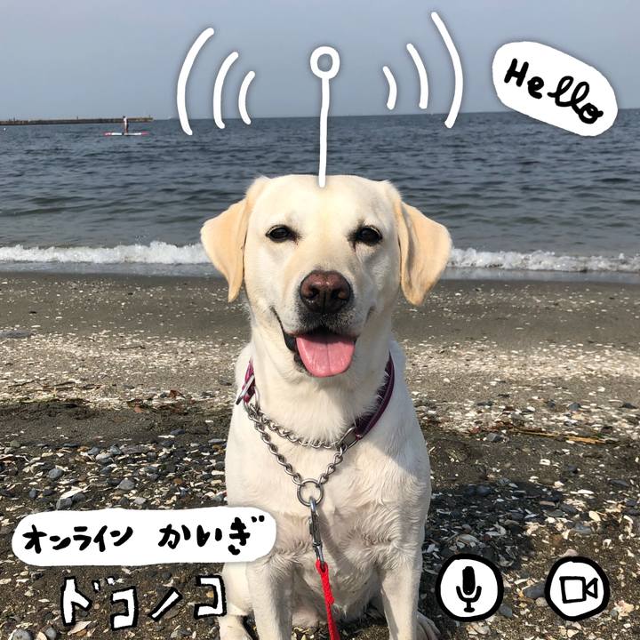 10116e28 e1d8 4ec9 ad25 e66686090a8f 1591712845911