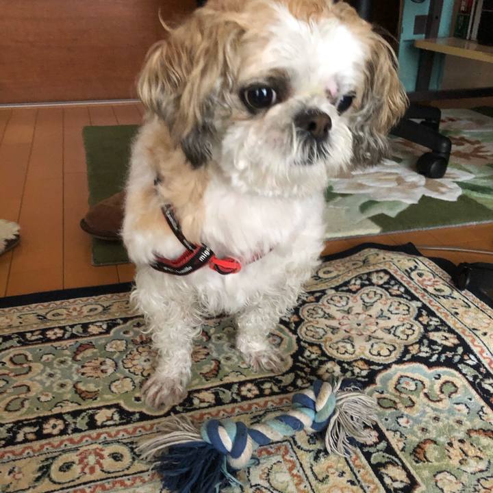 101182dc d14c 47d8 8d90 4993406136a7 1584481516755