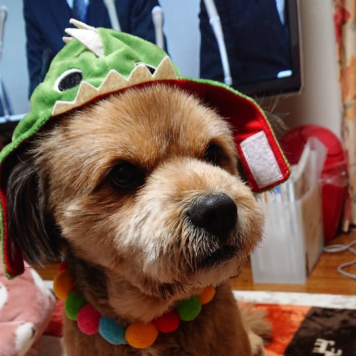 10118b1a c6c3 40a9 8612 bfe326ba4cbc 1548666353992