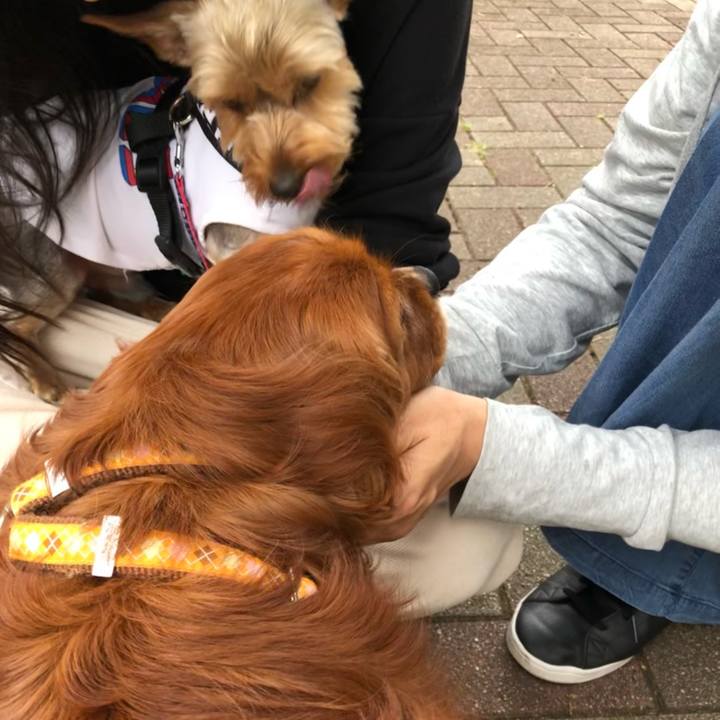 10118cbb af5e 4dba 9cb9 bcc23f21ff42 1623580344503