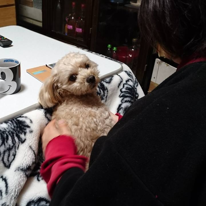 1011d7a6 4edb 4d25 8364 158db0d4a13f 1545966250691