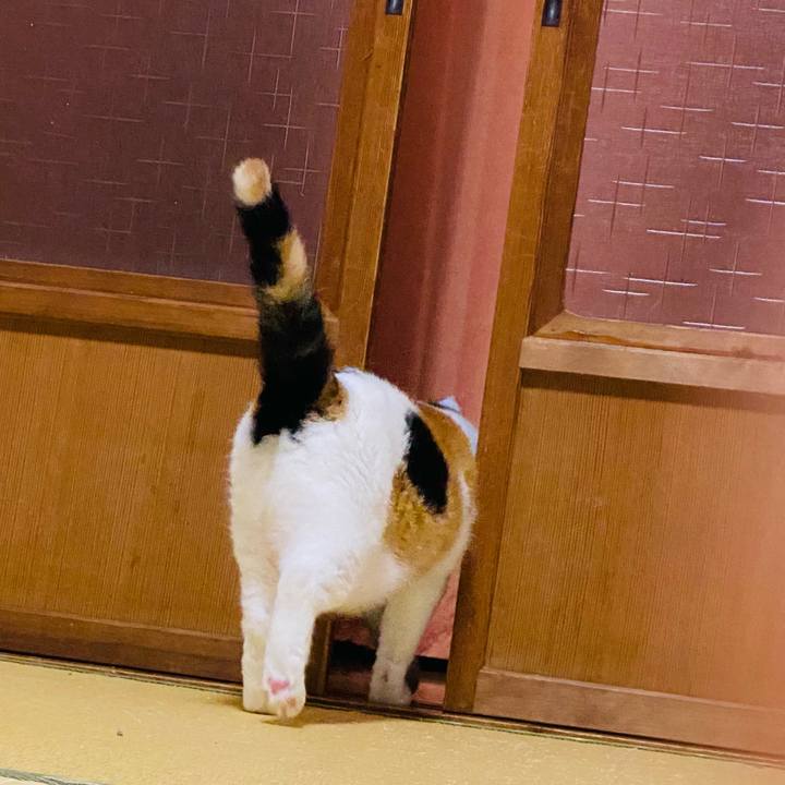 10124f3f 6069 4e02 8b80 52d6b7ee92a9 1725826298757