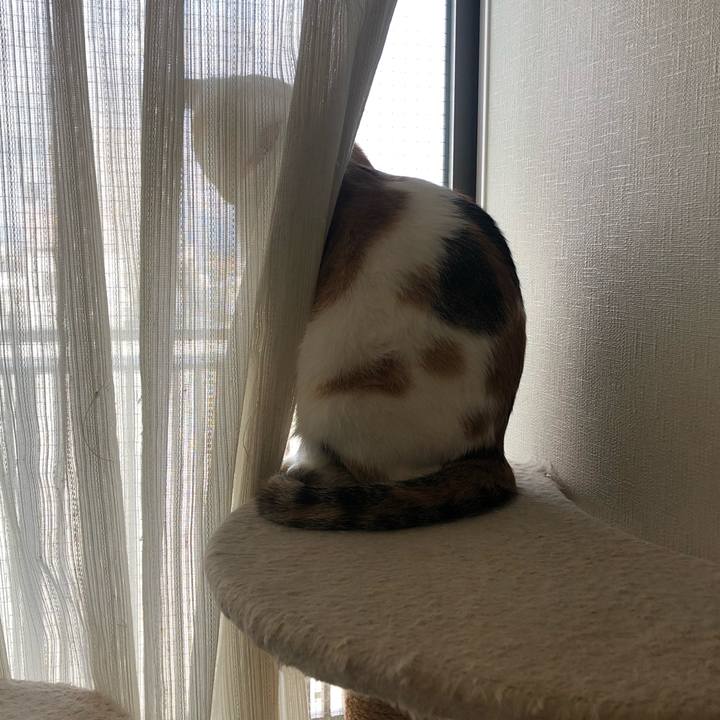 101287e7 d2a6 4b68 8a36 1587b44a085f 1604014283910