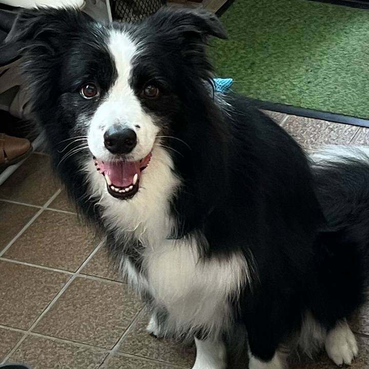 10129362 f78a 456a a63c 9e20dc2f975c 1758514453211