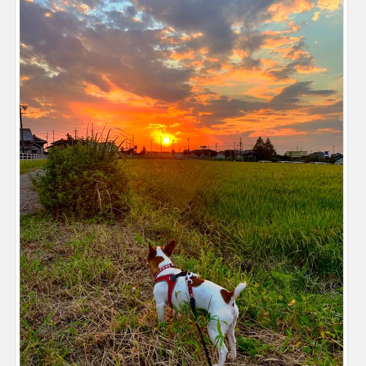 1012c7b7 4447 4bd6 b77e 95c534fdbd6f 1569496974335